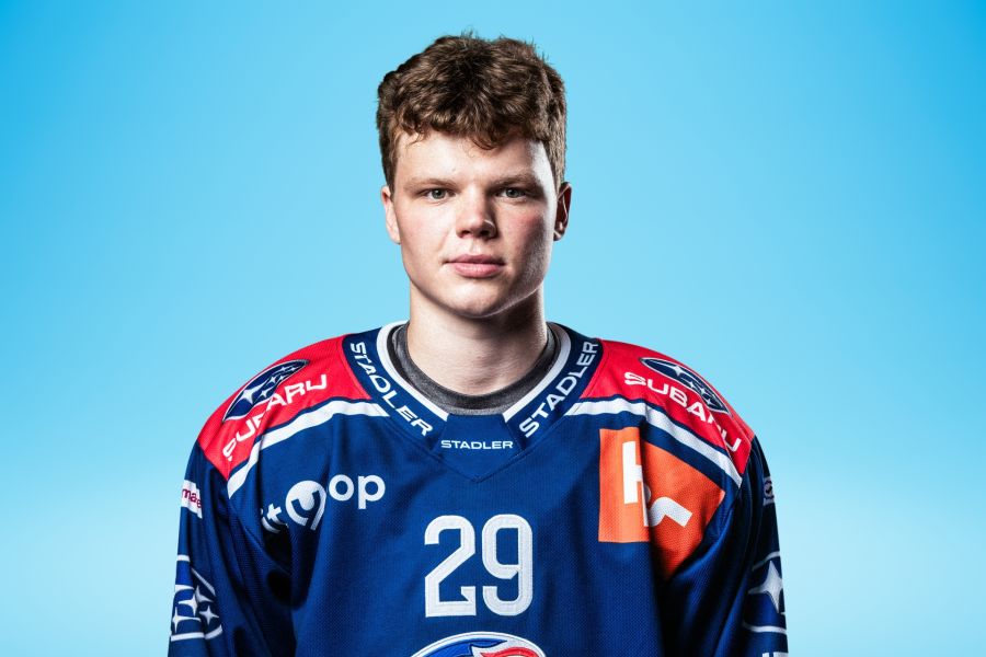Daniil Ustinkov Slapshot