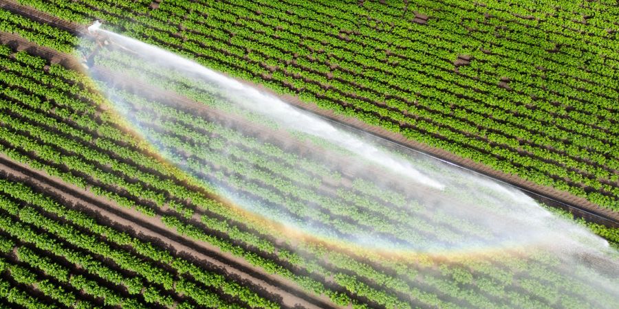Wasser kann Luxus sein - wenn es knapp ist und für die Landwirtschaft gebraucht wird. (Illustration)