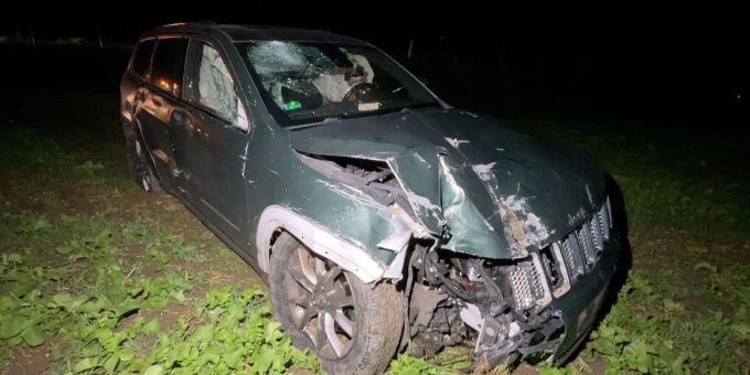 Autobahn A1 bei Niederbipp: Mit Auto Wildschutzzaun durchbrochen. Wildschutzzaun durchbrochen.