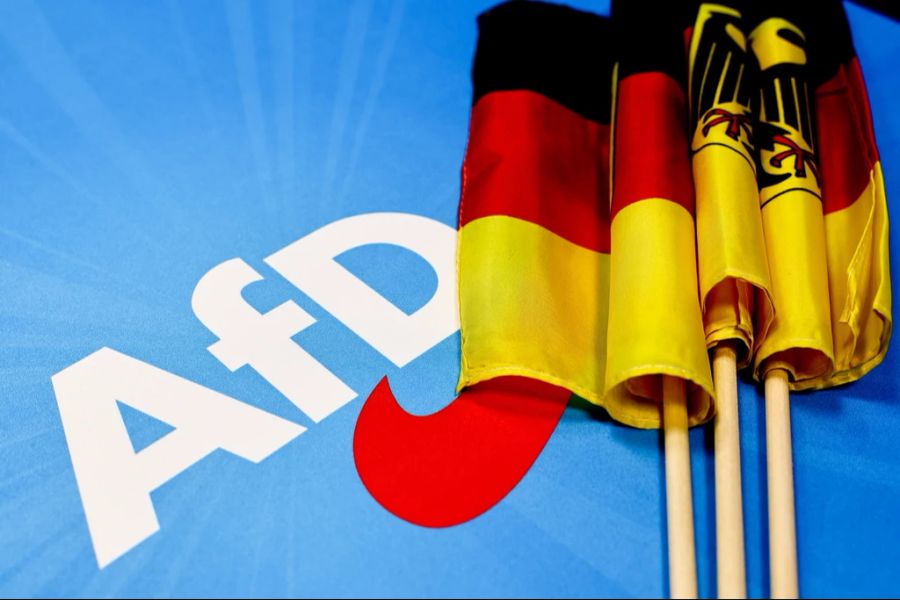 Die AfD formuliert in einem Entwurf für das neue Wahlprogramm ihre Forderungen.