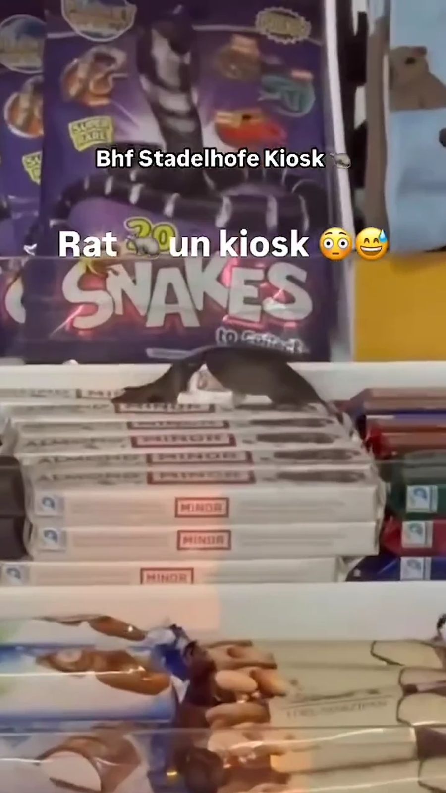 Eine Maus drang in den K-Kiosk im Bahnhof Zürich-Stadelhofen ein.