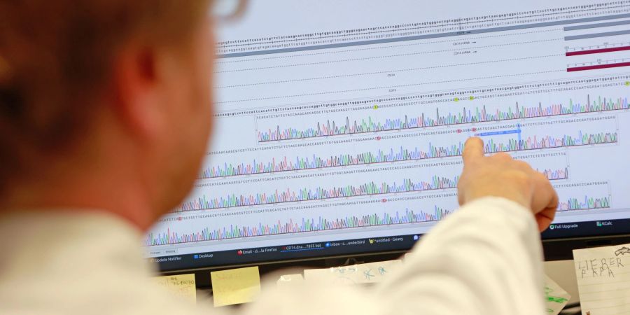 Analysiert wurde das Blut von Forschern der Universität Göttingen.