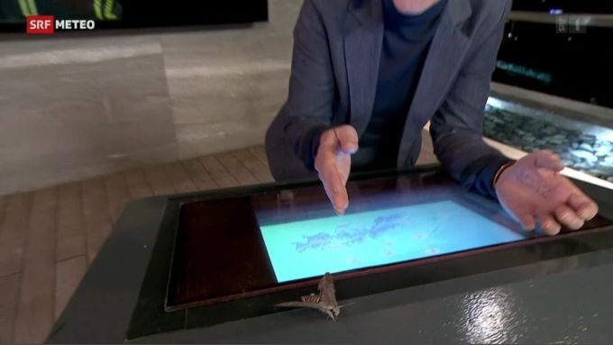 srf meteo