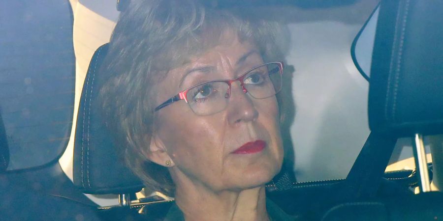 Andrea Leadsom