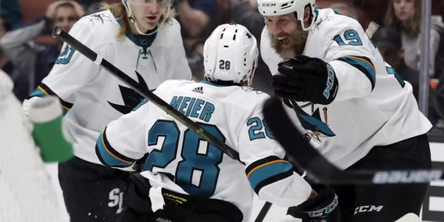 Timo Meier feiert seinen Treffer mit Joe Thornton (rechts) und Marcus Sörensen