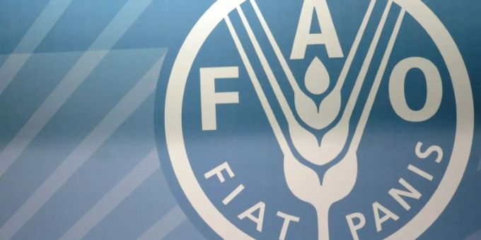 Die UN-Agentur für Landwirtschaft und Ernährung (FAO). fao