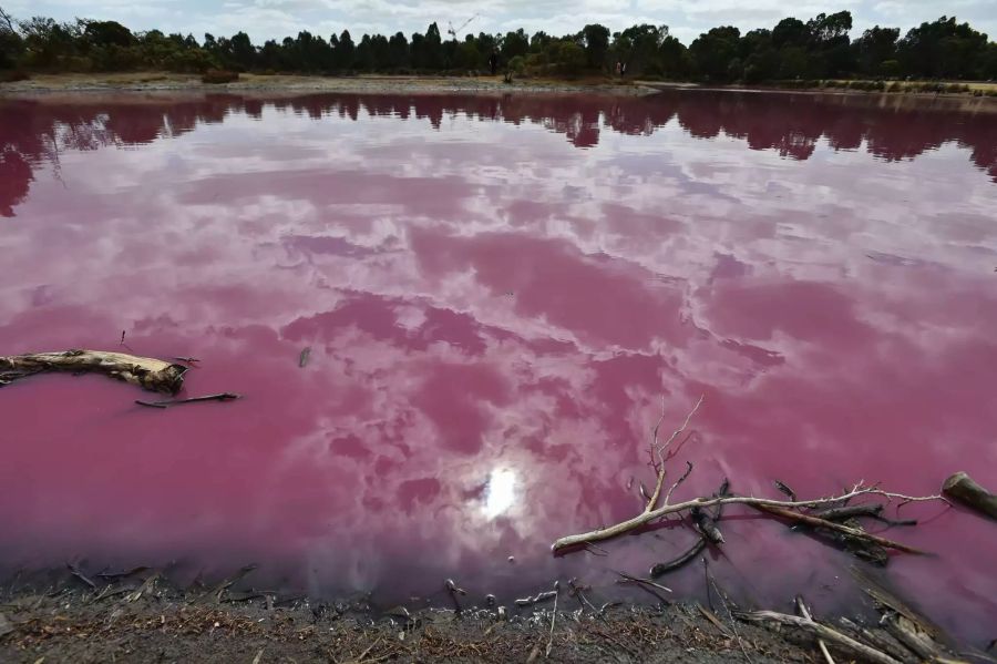 pink lake