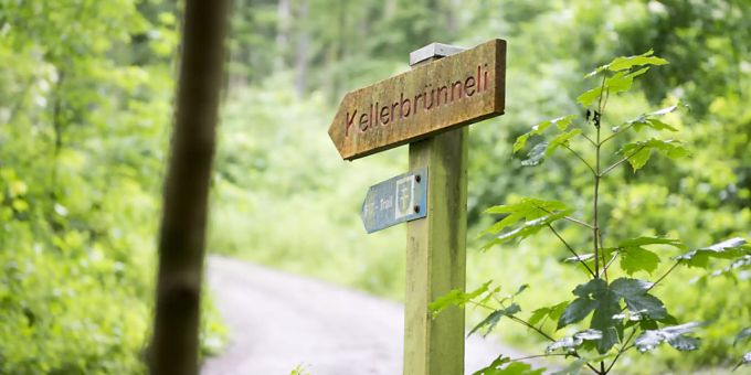 Tötungsdelikt im Wald von Fislisbach AG: Der zur Tatzeit minderjährige Schweizer wurde gemäss Jugendstrafrecht zur Maximalstrafe verurteilt. Fislisbach