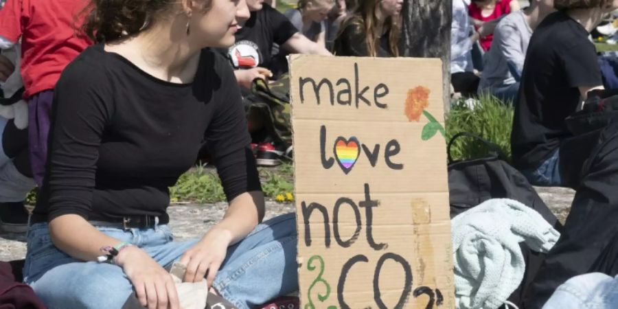 Protest von Fridays for Future