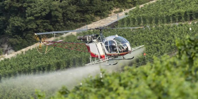 Der Einsatz synthetischer Pestizide in der Landwirtschaft soll verboten werden. Pestizide helikopter rebberge