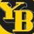 BSC Young Boys