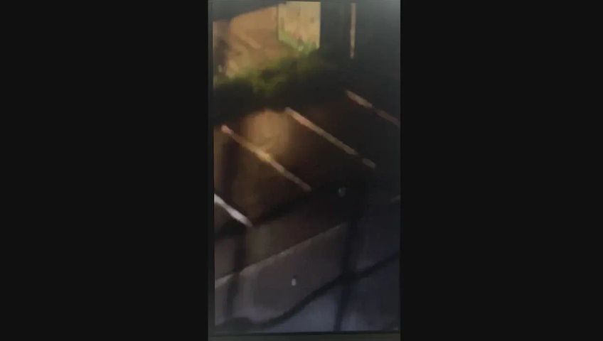 video-dottikon-ag