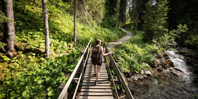 Brücke in Natur