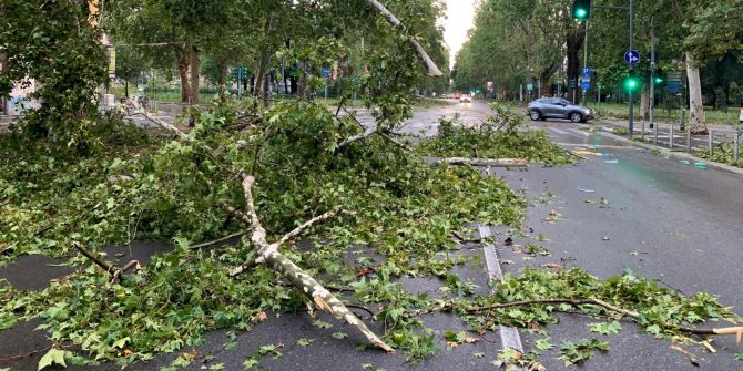 Violent storm with strong winds overnight in Milan