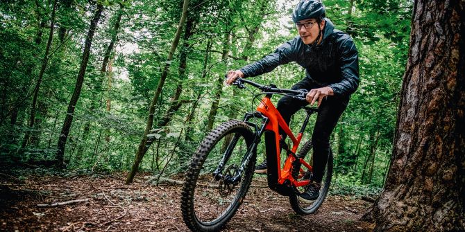 Mountainbike Wald Downhill Biker