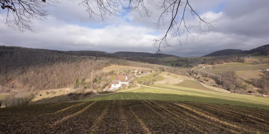 Der Hof Schenkenberg in Thalheim liegt unterhalb der Burgruine Schenkenberg.