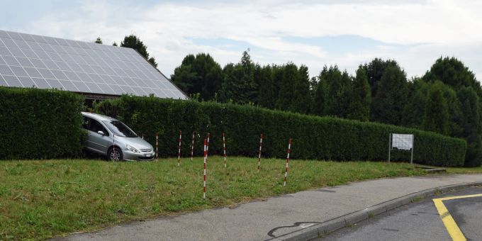Lernfahrer gerät in eine Lorbeerhecke und muss Lernfahrausweis abgeben.