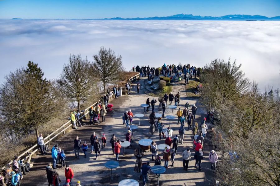 Wetter