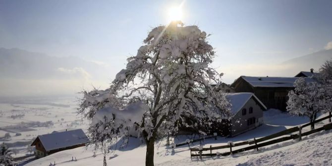 Toggenburg Winter