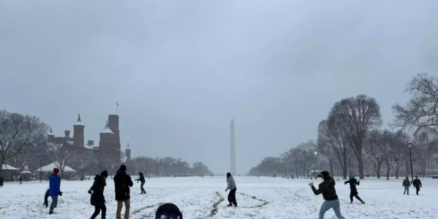 Harmlose Schneeballschlacht in Washington