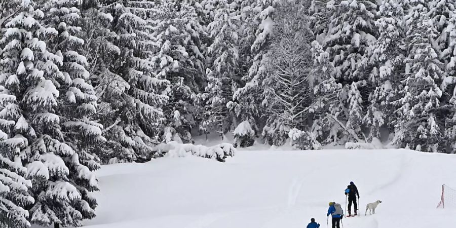 Vier Personen wurden am Sonntag im Gebiet Rochers-de-Naye oberhalb von Montreux (VD) von einer Lawine verschüttet. Es herrschte erhebliche Lawinengefahr. (Symboldbild)