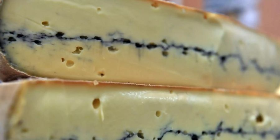 Morbier-Käse mit dem schwarzen Streifen aus Kohle