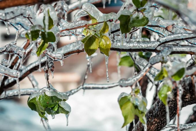 Eiszapfen bilden sich an einem Baum nach eisigen und schneereichen Wirbelsturm auf einer Strasse. Nach Wirbelsturm in Russland