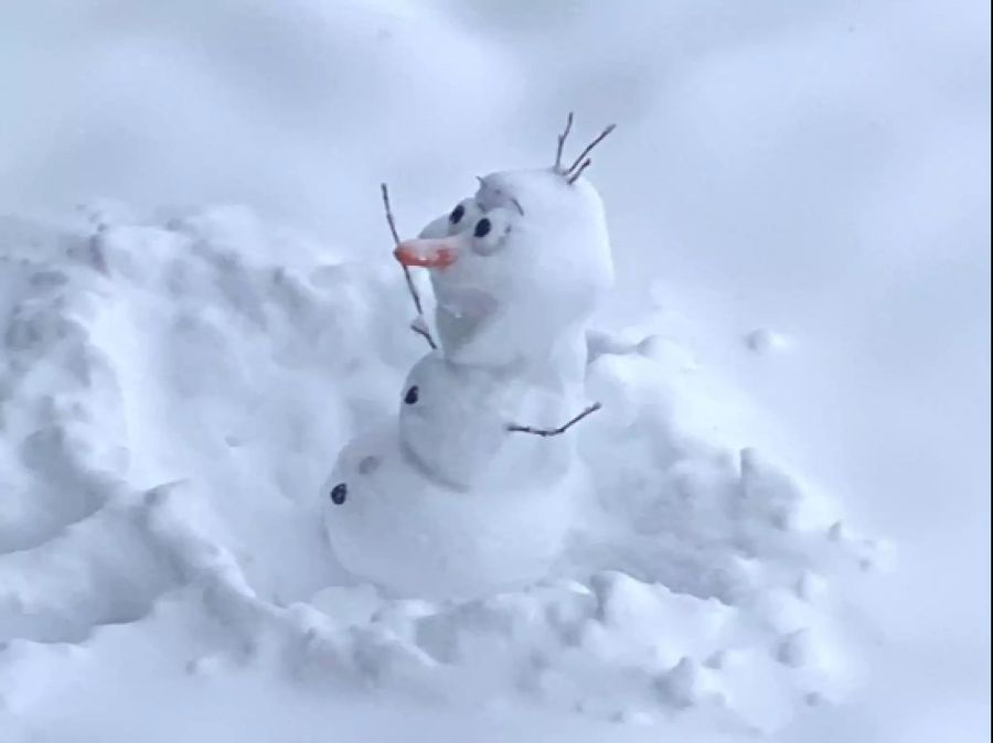 Ein richtiger Schneemann wie «Olaf» aus dem Disney-Film «Elsa – die Schneekönigin».