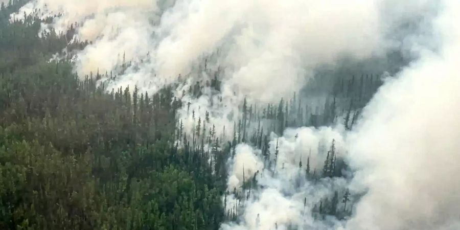 Waldbrand in Russland