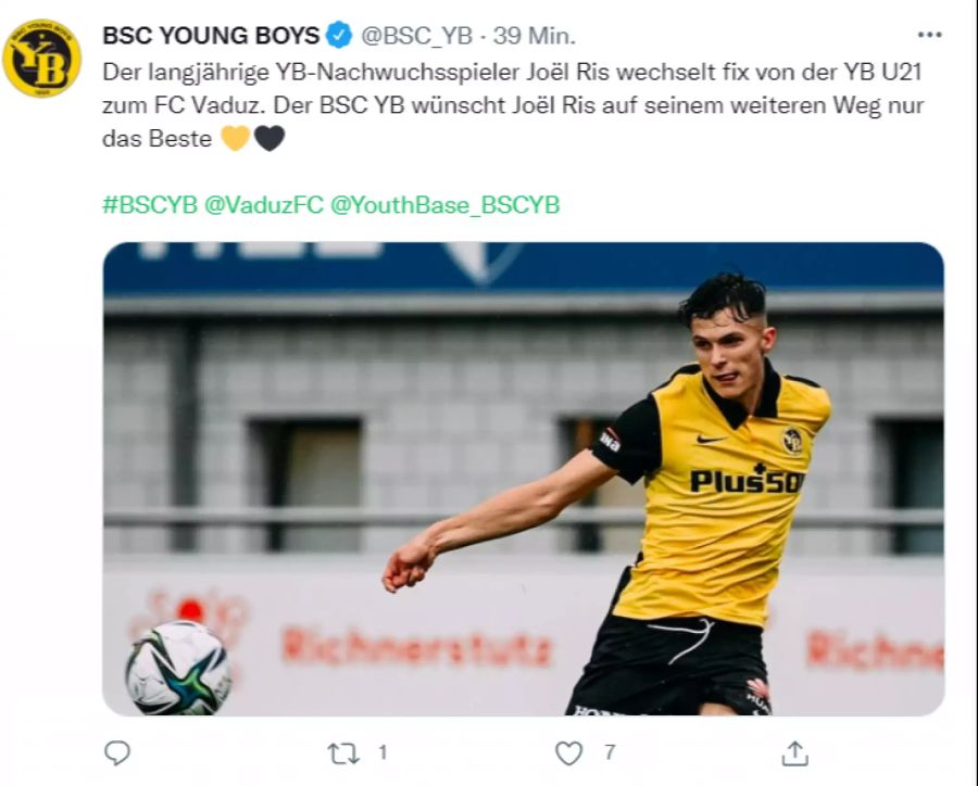 BSC Young Boys