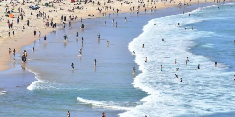 Sydneys berühmter Bondi Beach ist wegen zahlreicher Haie im Wasser vorübergehend geschlossen worden. Foto: Dean Lewins/AAP/dpa