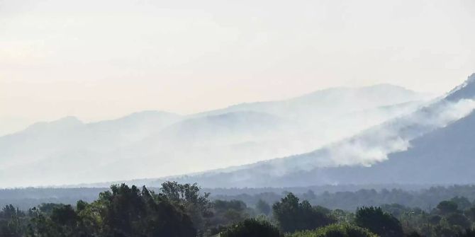 Waldbrand
