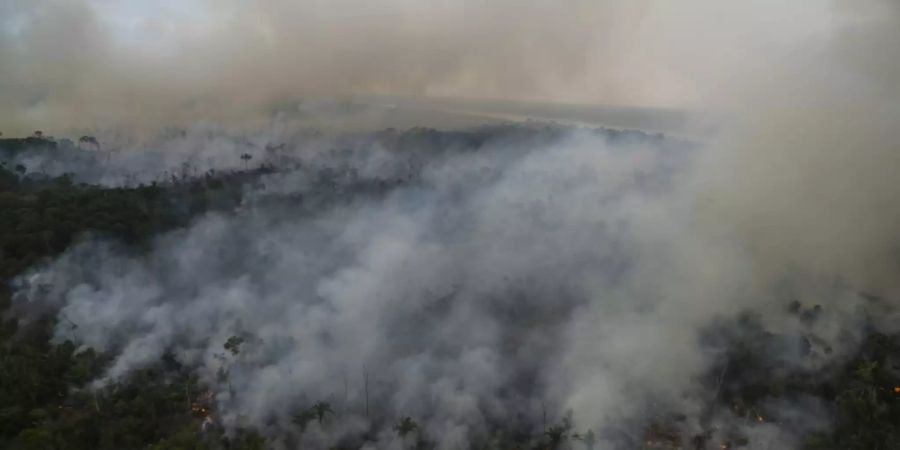 Feuer im Amazonas-Regenwald