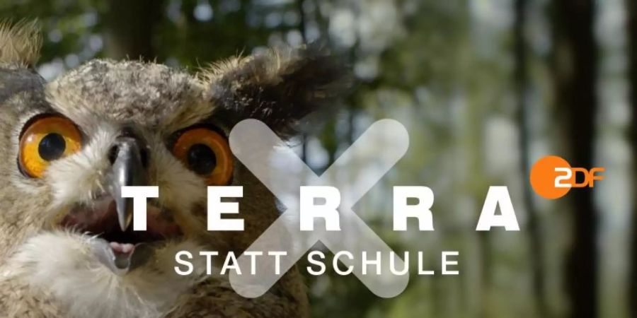 Ein Ausschnitt aus "Terra X statt Schule". Foto: -/ZDF/HR Geschichte und Wissenschaft/dpa