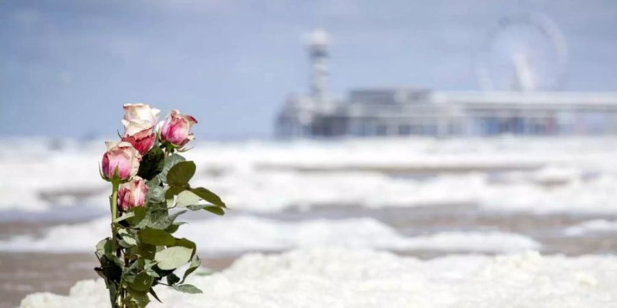 Rosen stecken am Strand von Scheveningen im Sand. Fünf Menschen sind an der niederländischen Küste beim Surfen ums Leben gekommen. Foto: Sem Van Der Wal/ANP/dpa