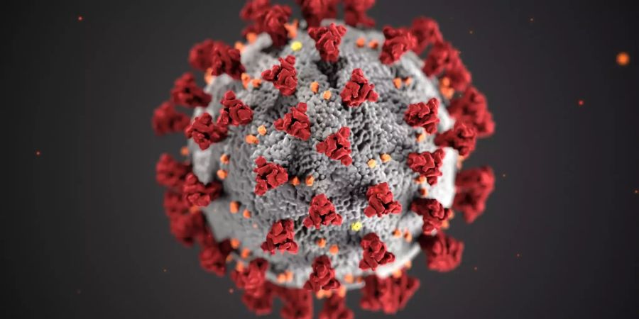 Coronavirus