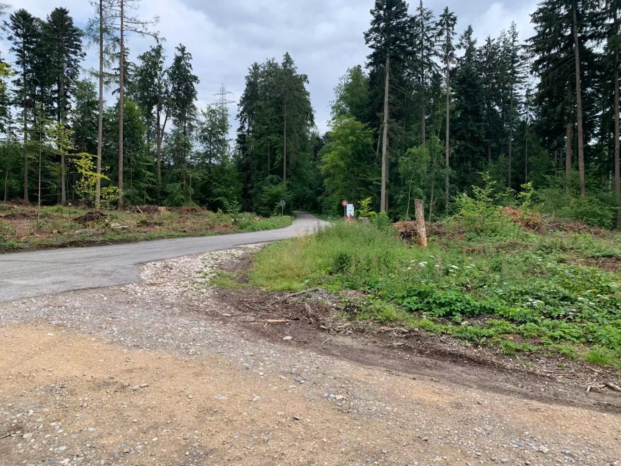 Wald Forst Niedergösgen