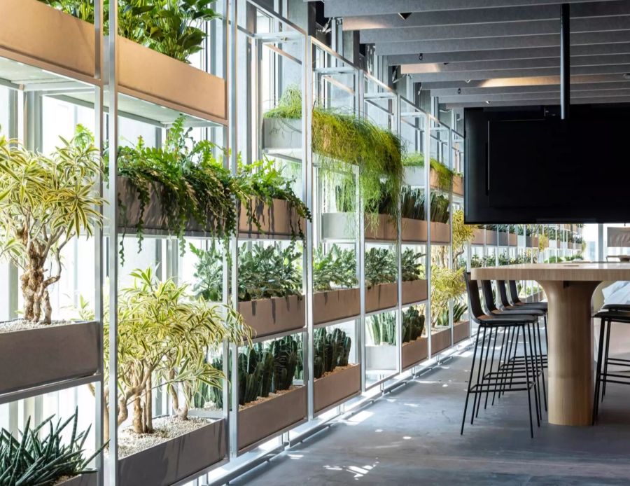 Die «Homebase» bietet Platz für rund 600 Mitarbeitende.
