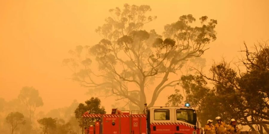 Australien wurde Ende 2019 und Anfang 2020 von verheerenden Bränden heimgesucht