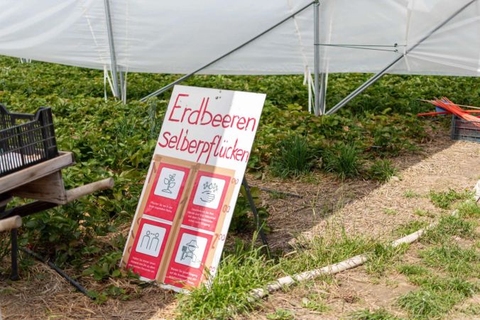 Auch auf dem Erdbeerfeld sind die Corona-Regelungen wichtig.
