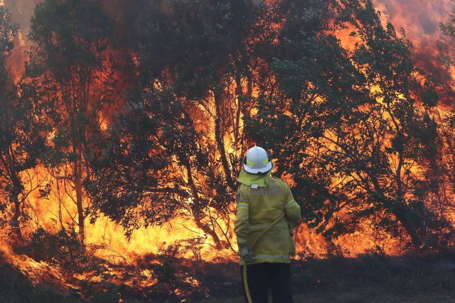 Buschfeuer in Australien