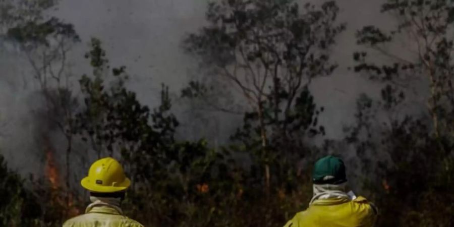 Mitarbeiter des IBAMA, der brasilianischen Umweltbehörde, stehen vor einem Brand in der Region Manicoré im Amazonasgebiet. Foto: Gabriela Biló/XinHua