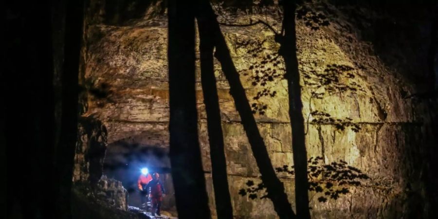 Einsatzkräfte stehen am Eingang der Falkensteiner Höhle