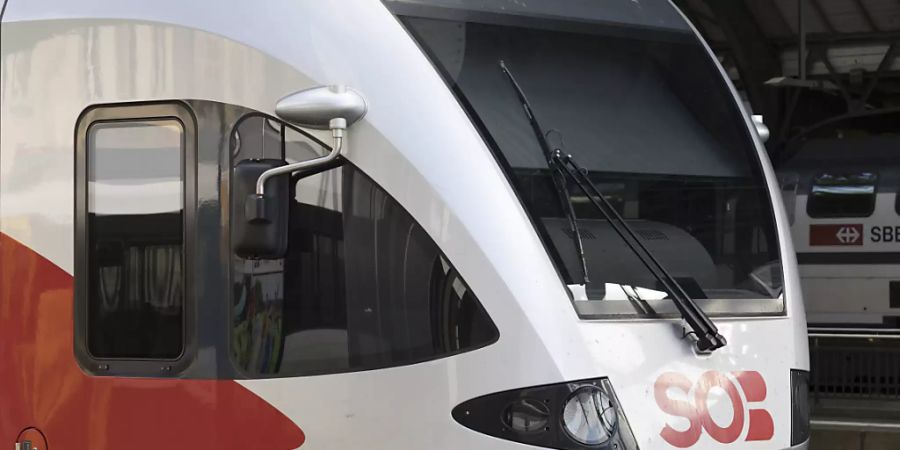 Der Zugbauer Stadler Rail kann 55 Züge seiner Flirt-Reihe nach Schleswig Holstein liefern. Im Bild ein Flirt-Zug der Südostbahn