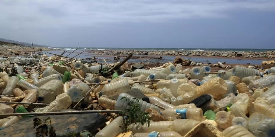 Plastikmüll bereitet weltweit zunehmend Sorgen