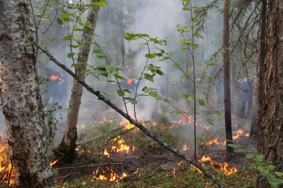 waldbrand