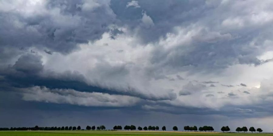 Die Temperaturen bewegen sich zum Ende der Woche noch immer im hohen Bereich. Im Süden muss mit Gewittern und Starkregen gerechnet werden. Foto: Marcel Kusch