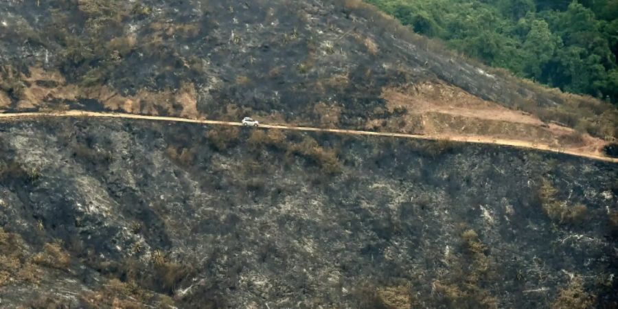 Von Waldbrand vernichtete Fläche in Kolumbien