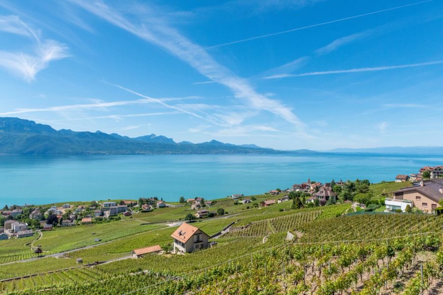 Lavaux, Waadt