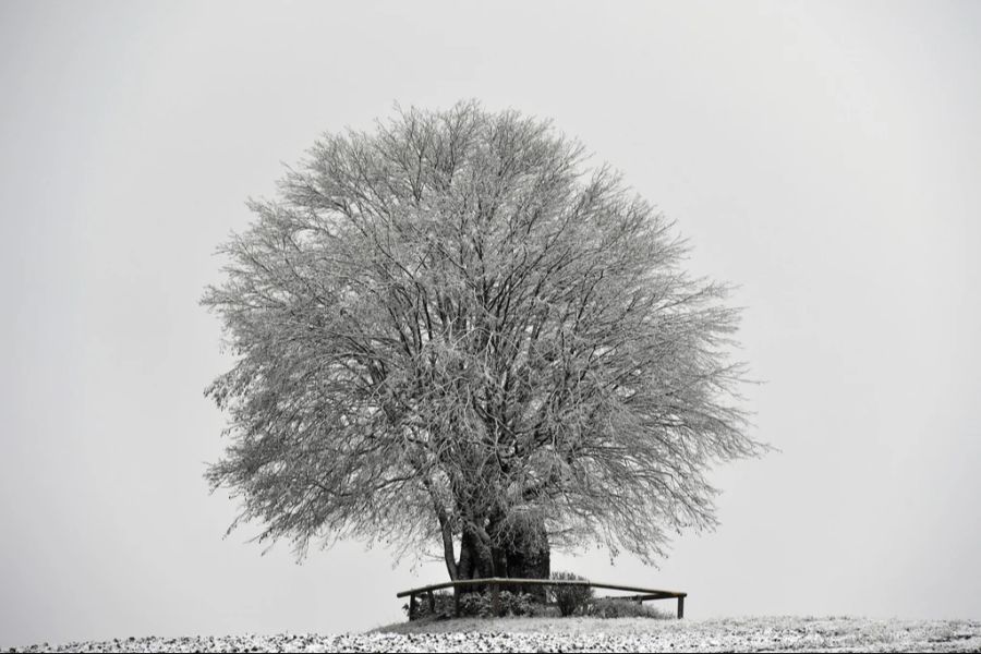 Eine geschlossene Schneedecke wird es in den tiefen Lagen aber wohl nicht geben.